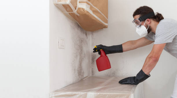 Professional Crawl Space Mold Remediation technician working in Delta, PA